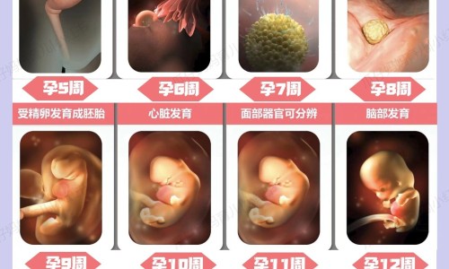 做梦身上扎好多针网—知名的做梦身上扎好多针好不好网站,分享做梦身上扎好多针好不好知识